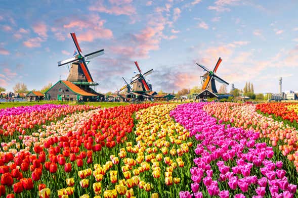 Tour ao Keukenhof