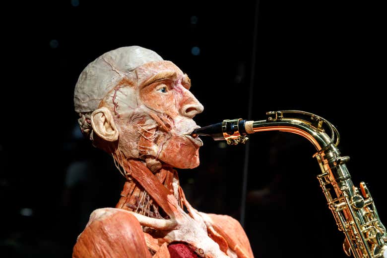 Body Worlds