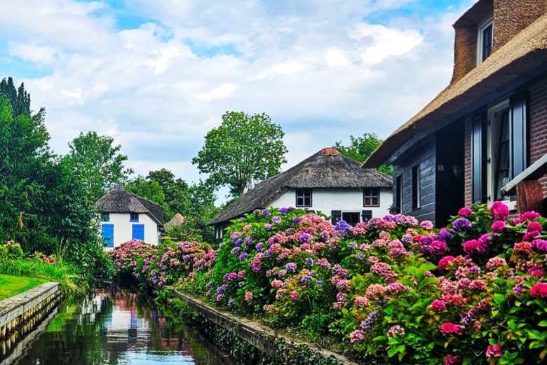 Flores junto a um canal de Giethoorn 
