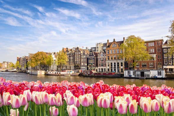 Escala em Amsterdam? Tour saindo do aeroporto